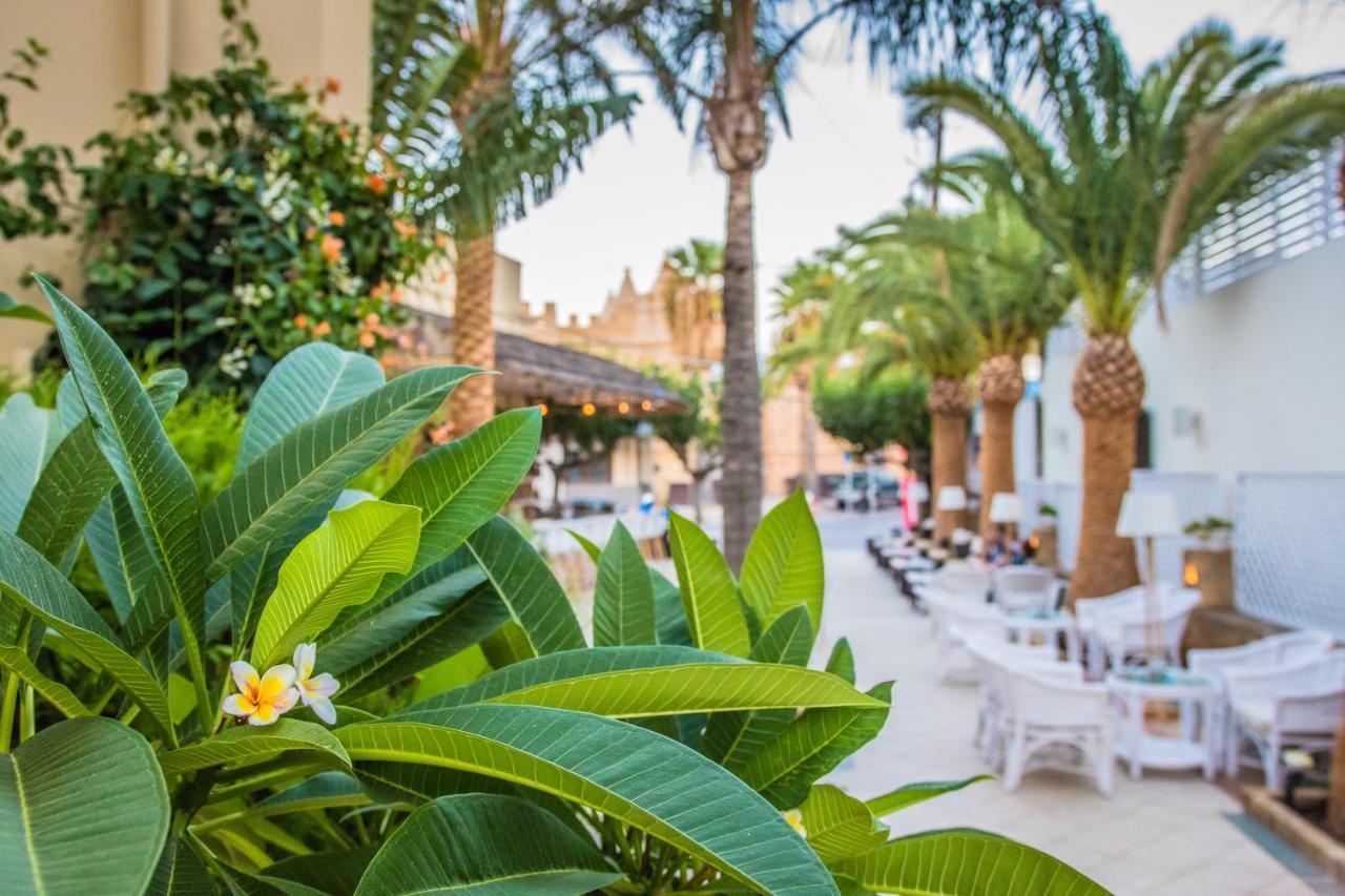 Danaides Hotel Malia  Exterior photo